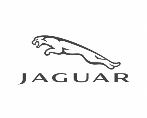 LOCKING LEVER JAGUAR C2D31386