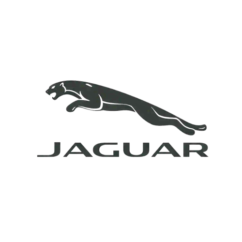  JAGUAR ﻿10002
