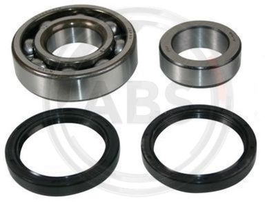 Wheel Bearing Kit A.B.S. 200249