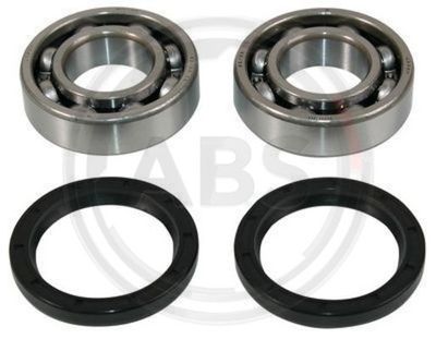 Wheel Bearing Kit A.B.S. 200503