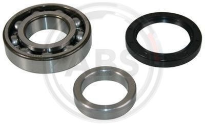 Wheel Bearing Kit A.B.S. 200511