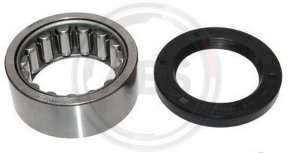 A.B.S. 201087 Wheel Bearing Kit