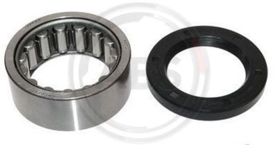 Wheel Bearing Kit A.B.S. 201087