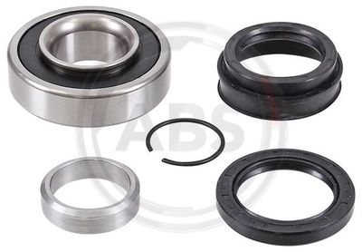 Wheel Bearing Kit A.B.S. 201369