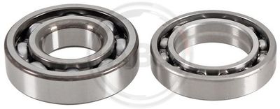 Wheel Bearing Kit A.B.S. 201662