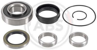 Wheel Bearing Kit A.B.S. 201719