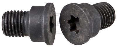 Bolt, brake disc A.B.S. 96521