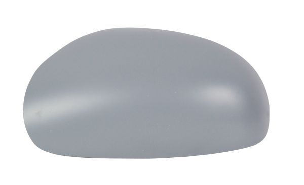 ABAKUS 2918C01 Cover, exterior mirror