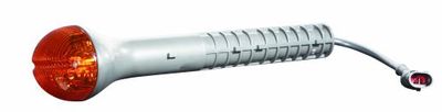 Direction Indicator ABAKUS 663-1403L-AE