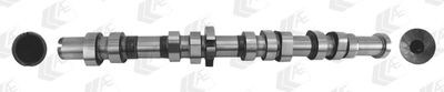 Camshaft AE CAM1011