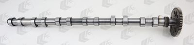 Camshaft AE CAM1016