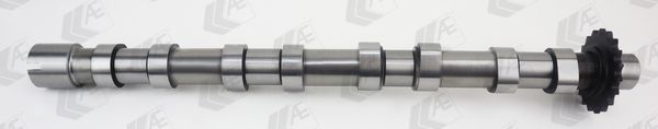 AE CAM1018 Camshaft