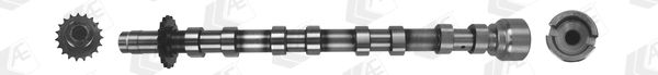 AE CAM1019 Camshaft
