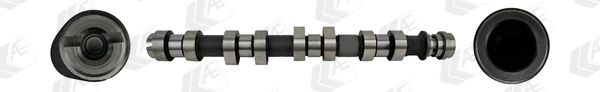 AE CAM1022 Camshaft