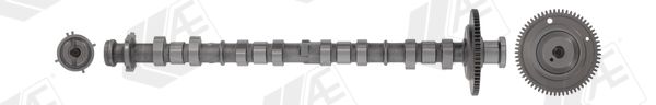 AE CAM1036 Camshaft