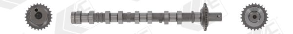 AE CAM1041 Camshaft