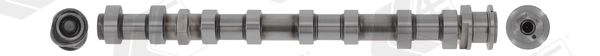 AE CAM1047 Camshaft