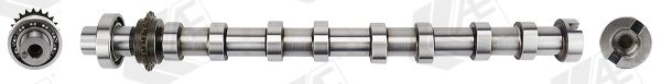 AE CAM1050 Camshaft