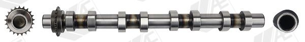 AE CAM1051 Camshaft