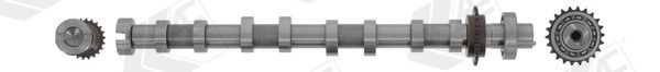 AE CAM1071 Camshaft
