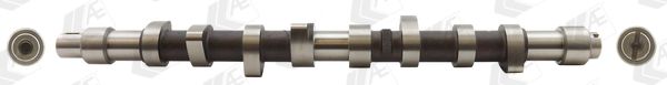 AE CAM373 Camshaft