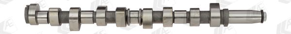 AE CAM376 Camshaft