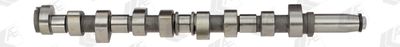 Camshaft AE CAM376