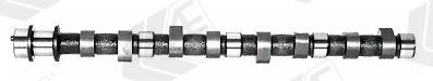 AE CAM389 Camshaft
