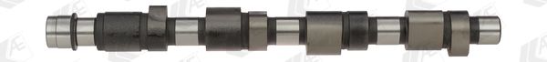 AE CAM648 Camshaft