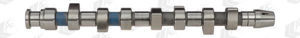 AE CAM671 Camshaft