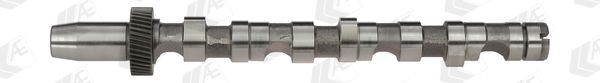 AE CAM701 Camshaft