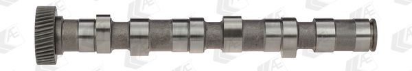 AE CAM702 Camshaft