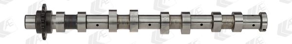 AE CAM747 Camshaft