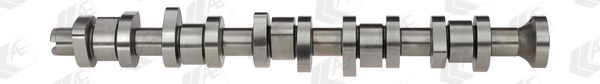 AE CAM916 Camshaft