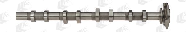 AE CAM919 Camshaft