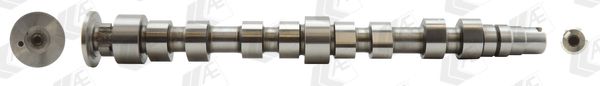AE CAM924 Camshaft