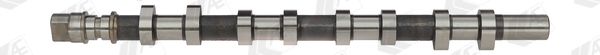 AE CAM926 Camshaft