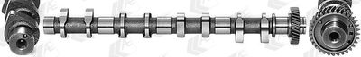 Camshaft AE CAM947