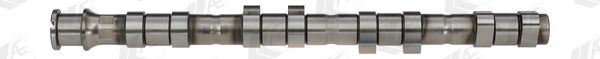 AE CAM951 Camshaft