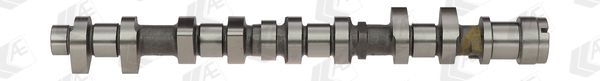 AE CAM959 Camshaft