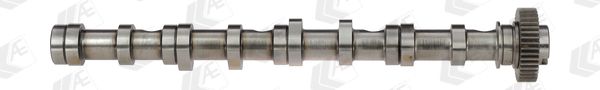 AE CAM961 Camshaft
