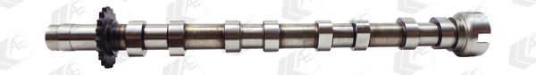 AE CAM975 Camshaft