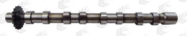 AE CAM976 Camshaft