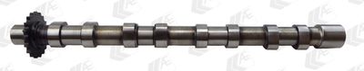 Camshaft AE CAM976