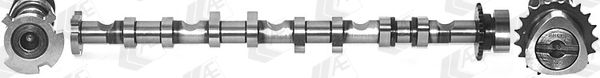 AE CAM981 Camshaft