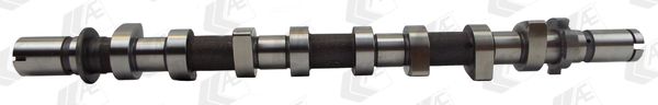 AE CAM983 Camshaft