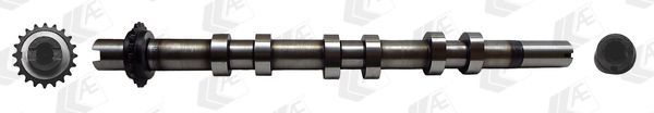 AE CAM987 Camshaft