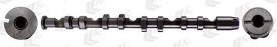 Camshaft AE CAM989
