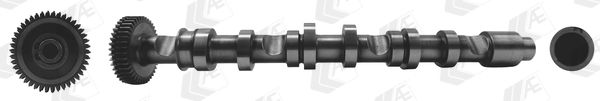 AE CAM993 Camshaft