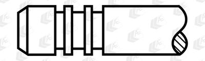 Intake Valve AE V80022
